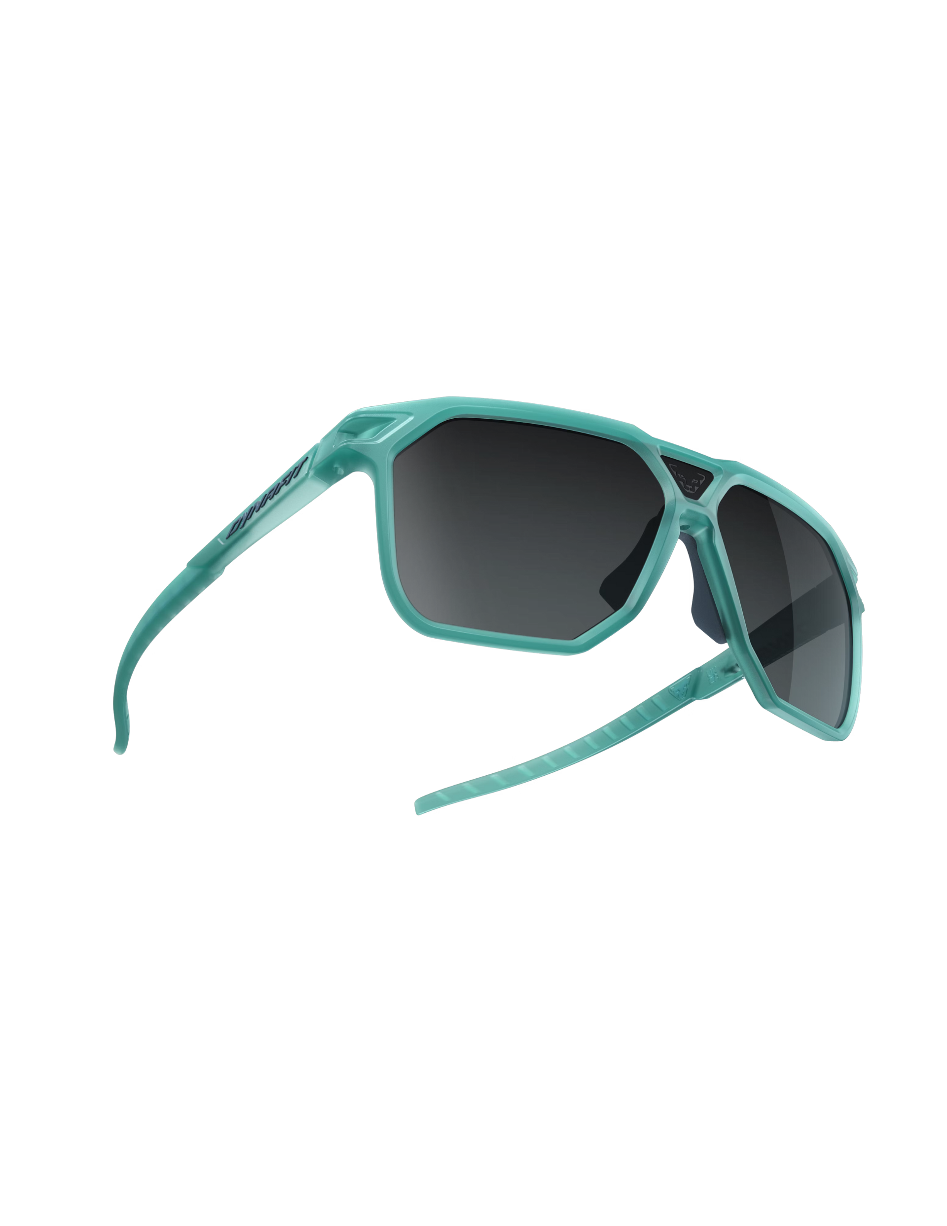 DYNAFIT Lunettes de Soleil Dynafit Traverse Puritan Grey/Blueberry