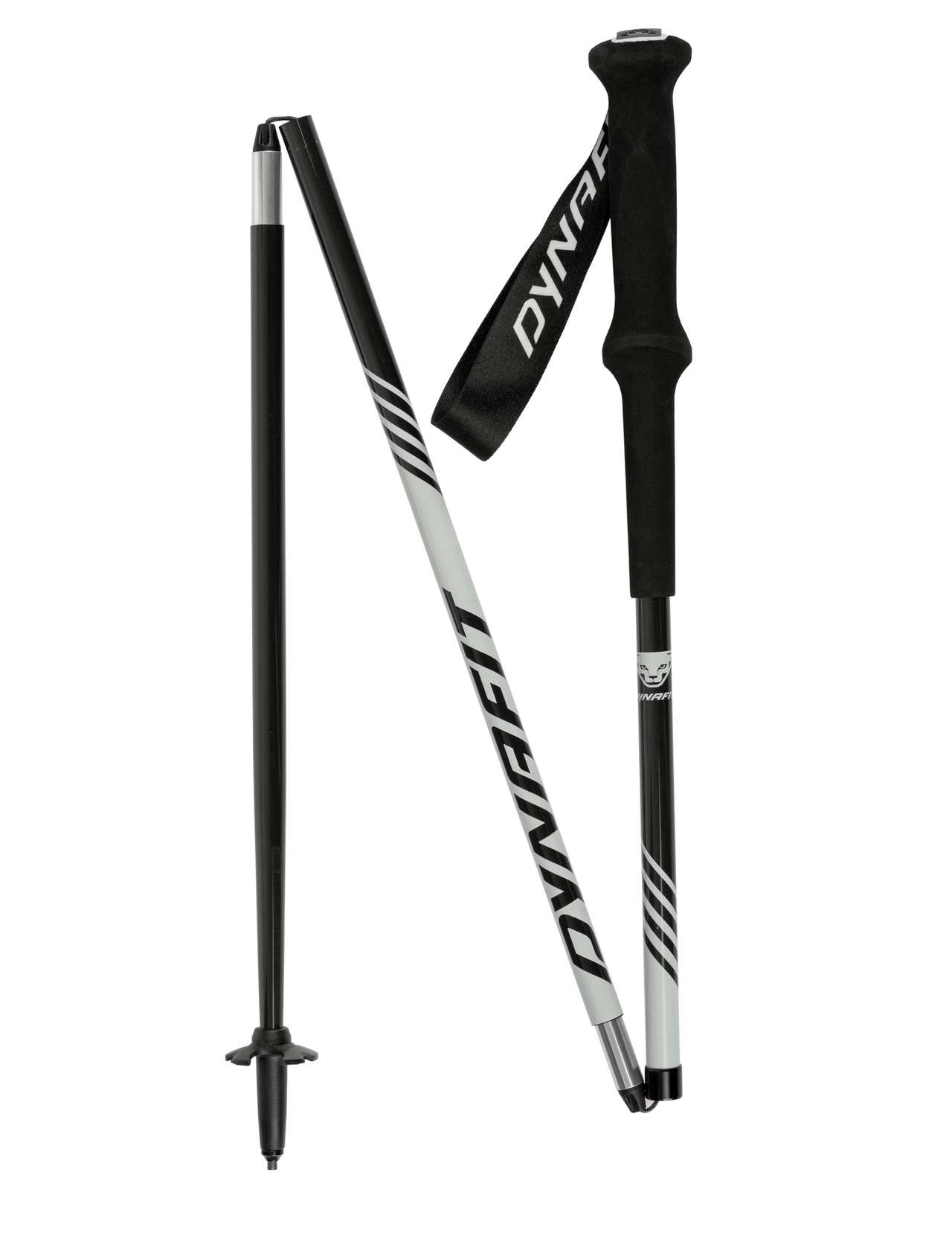Stick Dynafit Alpine Pro Trail