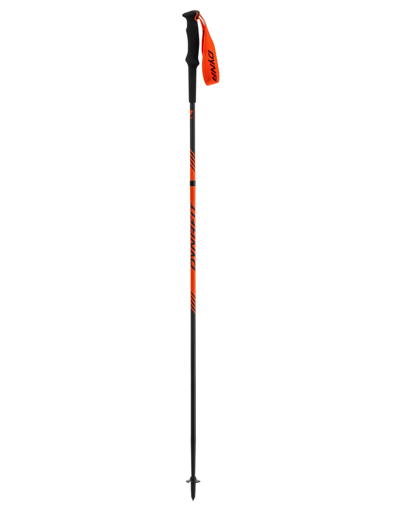 Bâtons de Trail Dynafit Alpine