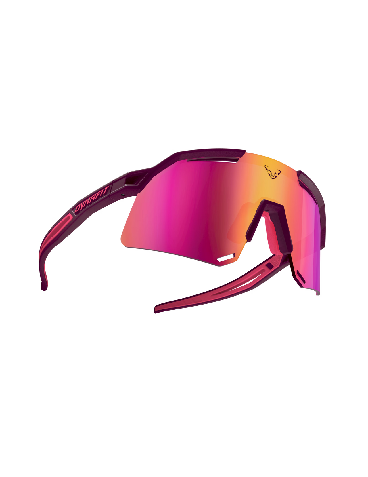 Lunettes de Soleil Dynafit Ultra Evo