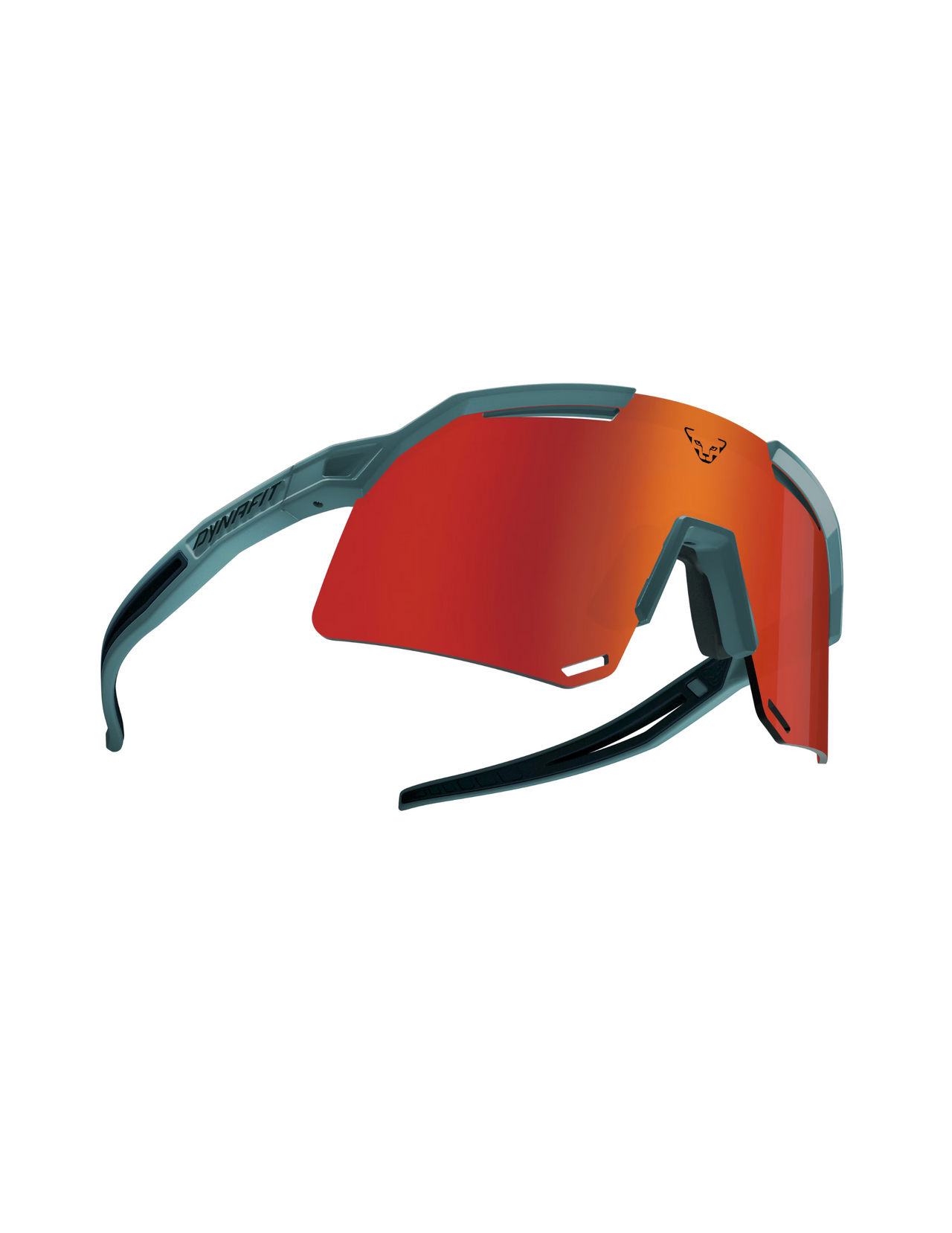 Lunettes de Soleil Dynafit Ultra Evo