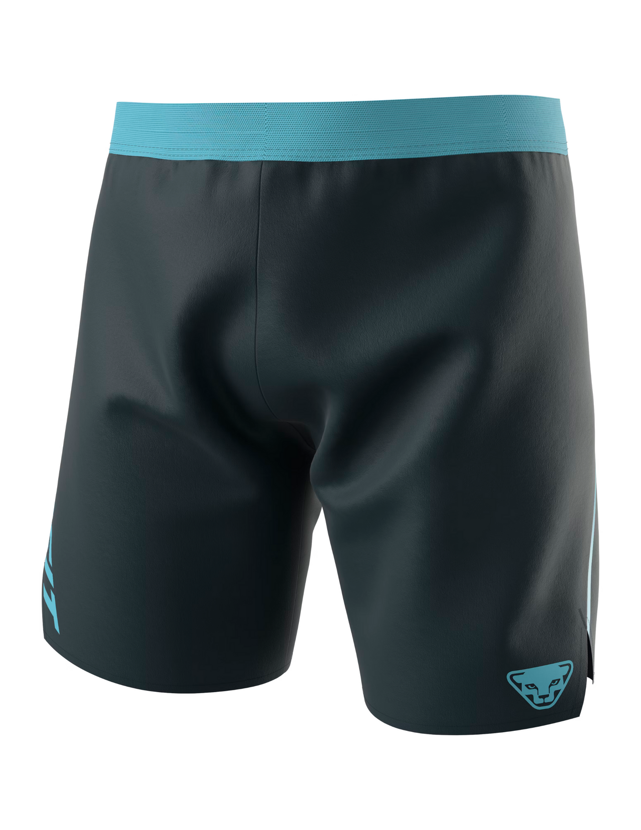 Dynafit Alpine Men's Trail Shorts