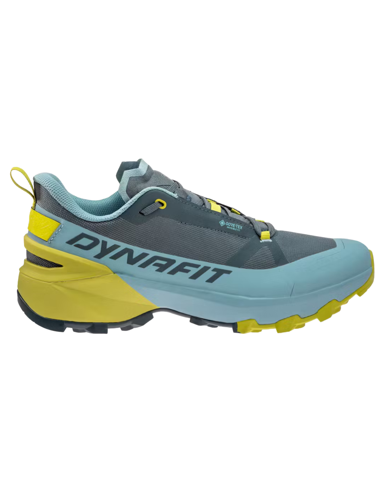 Chaussures de Trail Dynafit Transalper 2 Gore-Tex Homme