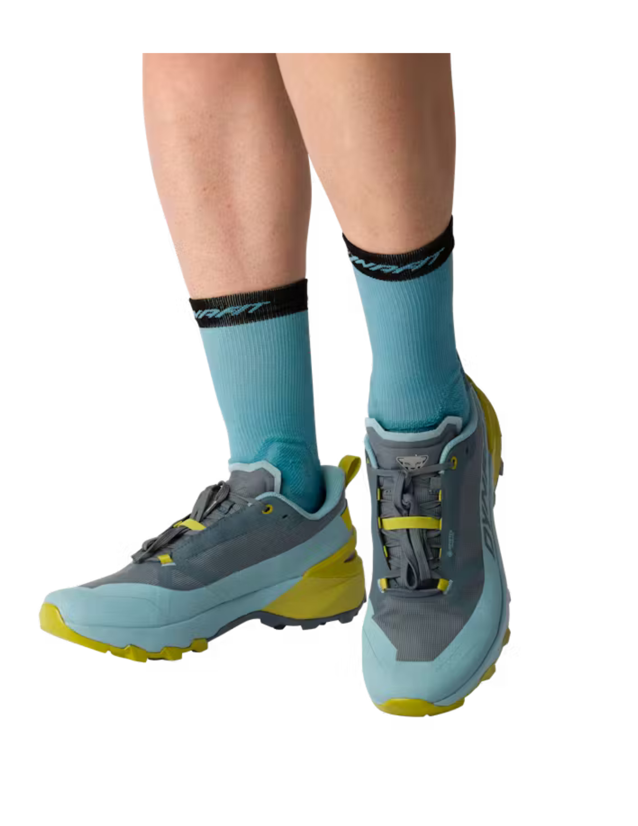 Chaussures de Trail Dynafit Transalper 2 Gore-Tex Homme