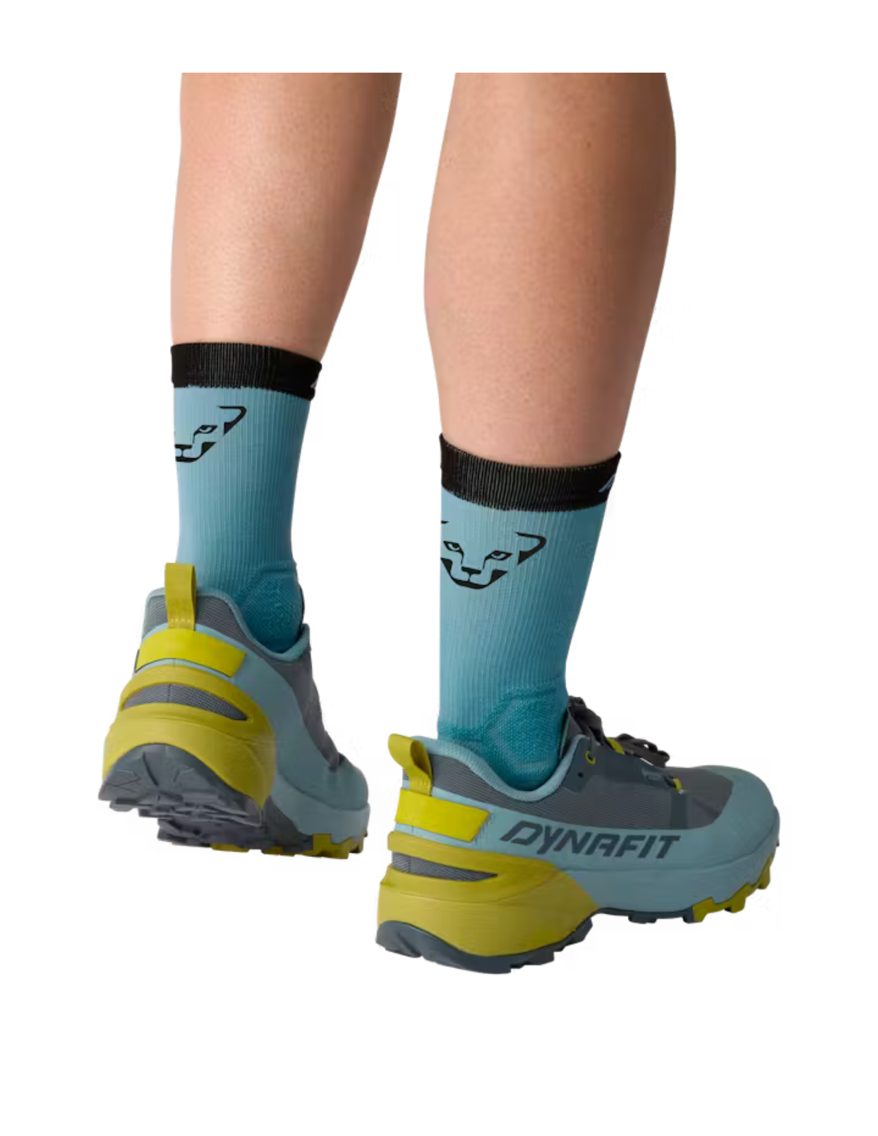 Chaussures de Trail Dynafit Transalper 2 Gore-Tex Homme