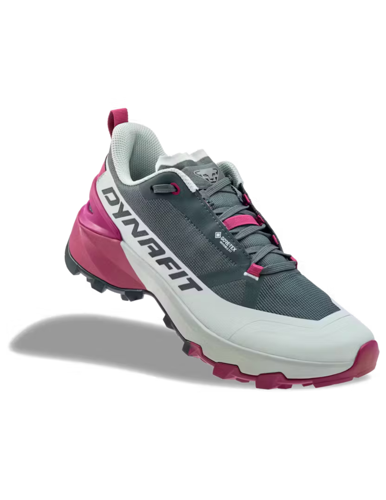Chaussures de Trail Dynafit Transalper 2 Gore-Tex Femme