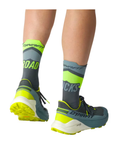 Chaussures de Trail Dynafit Ultra 100 V3 Homme