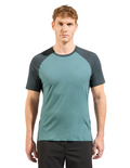 T-shirt di trekking Odlo Ascent Performance Wool 125 Equipaggio Maniche corte