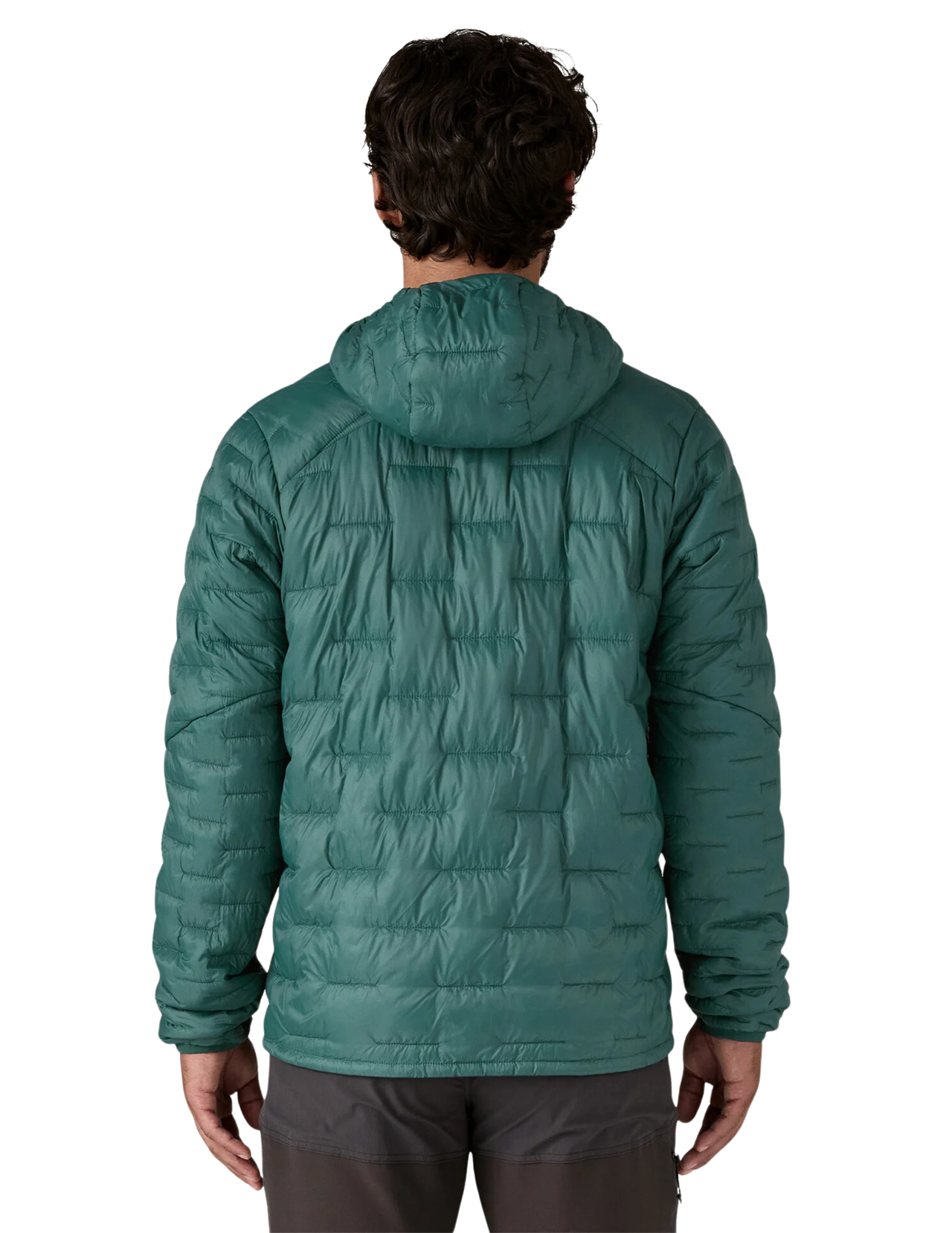 Patagonia Micro Puff Hoody Men's Down Jacket