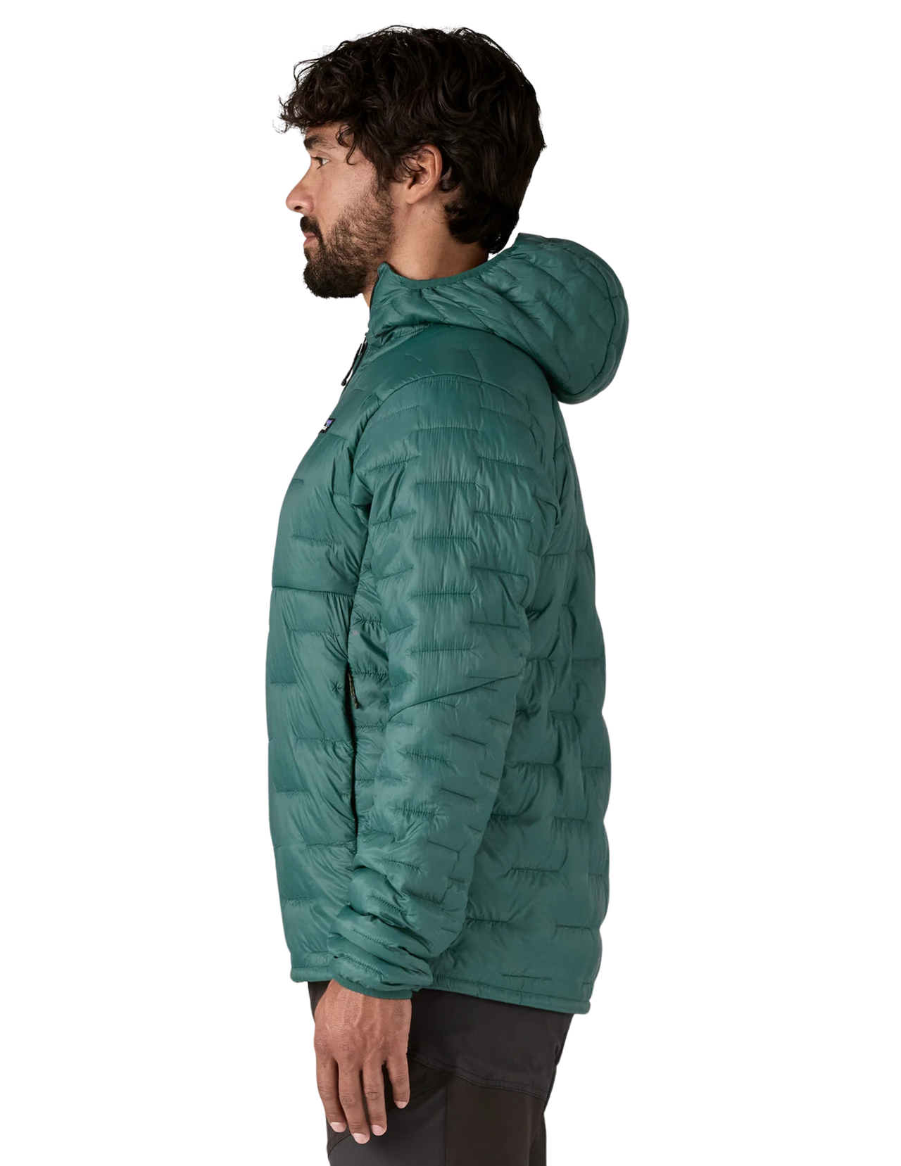 Patagonia Micro Puff Hoody Men's Down Jacket