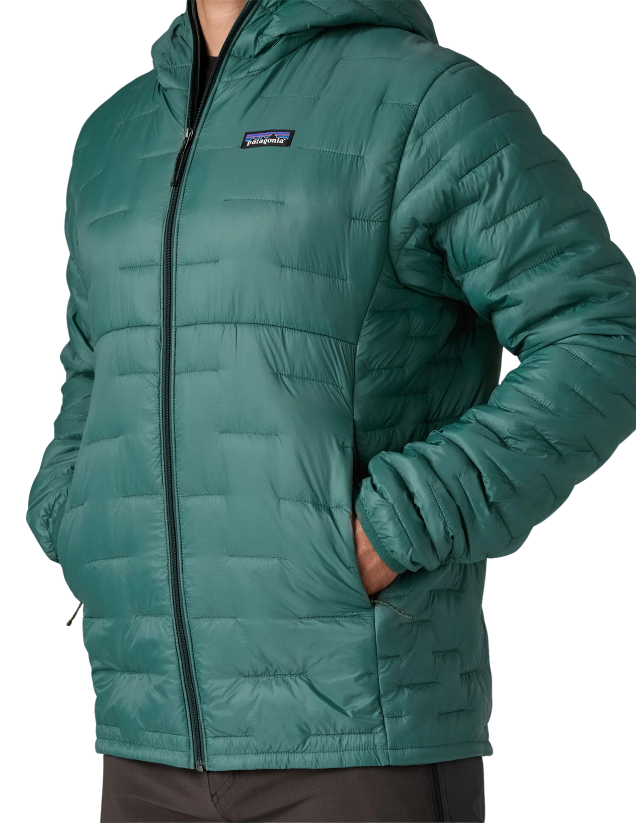 Patagonia Micro Puff Hoody Men's Down Jacket