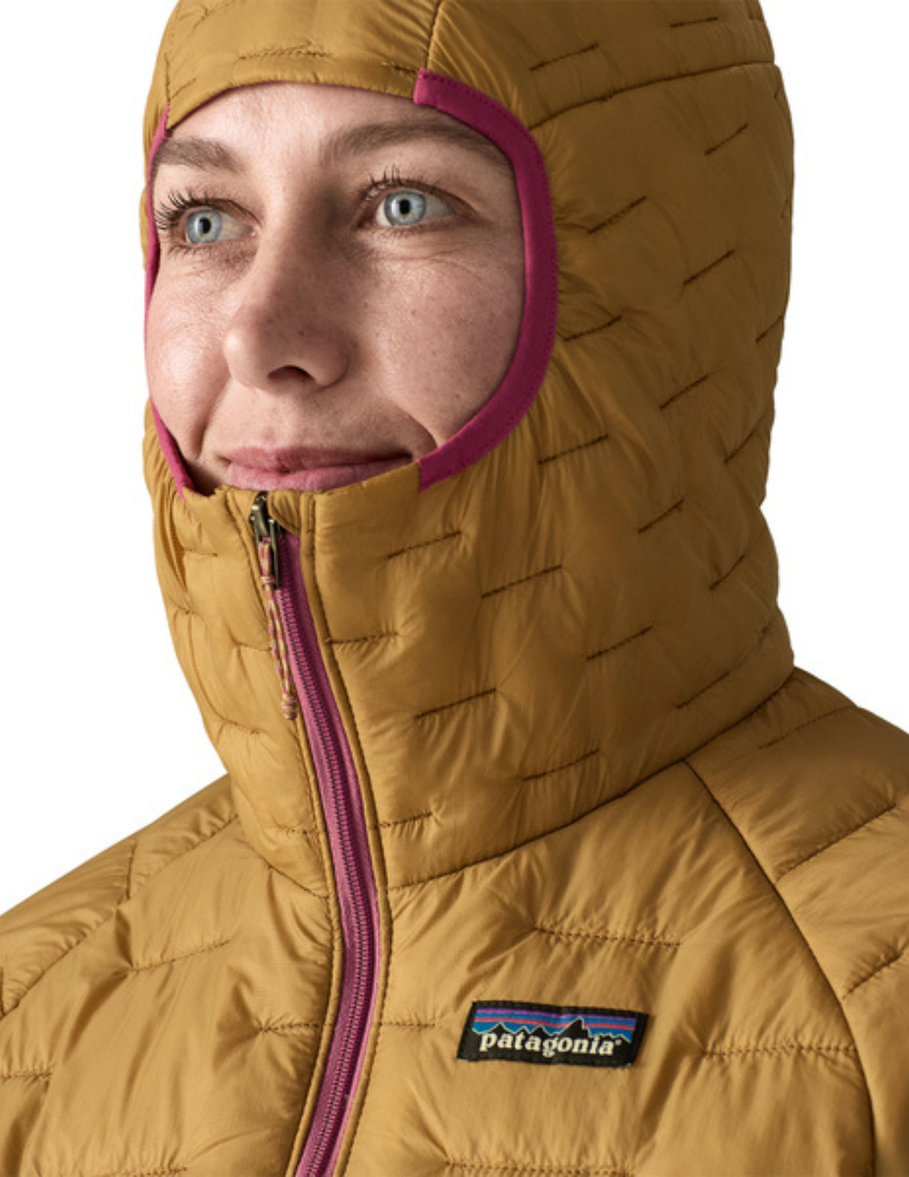 Patagonia Women's Micro Puff Hoody Down Jacket