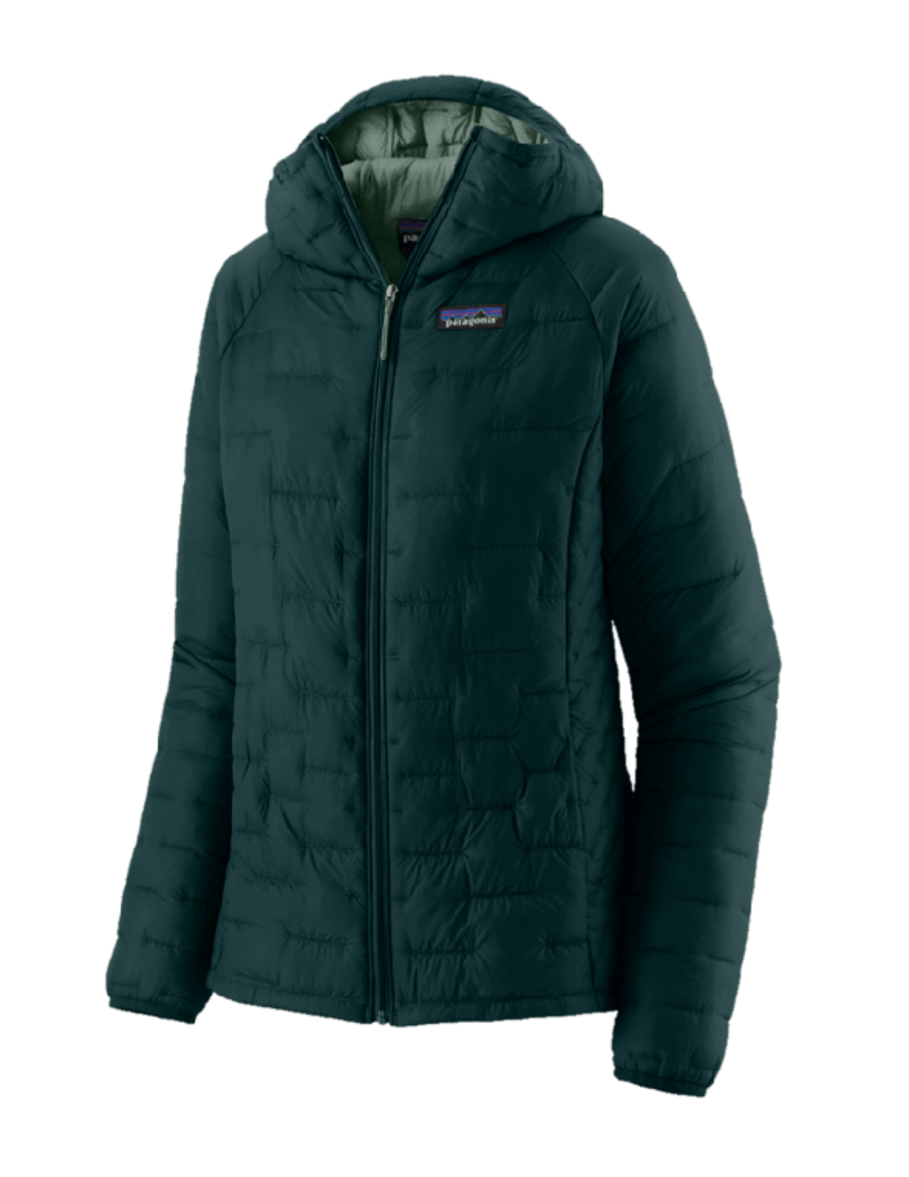 Patagonia Micro Puff Woman