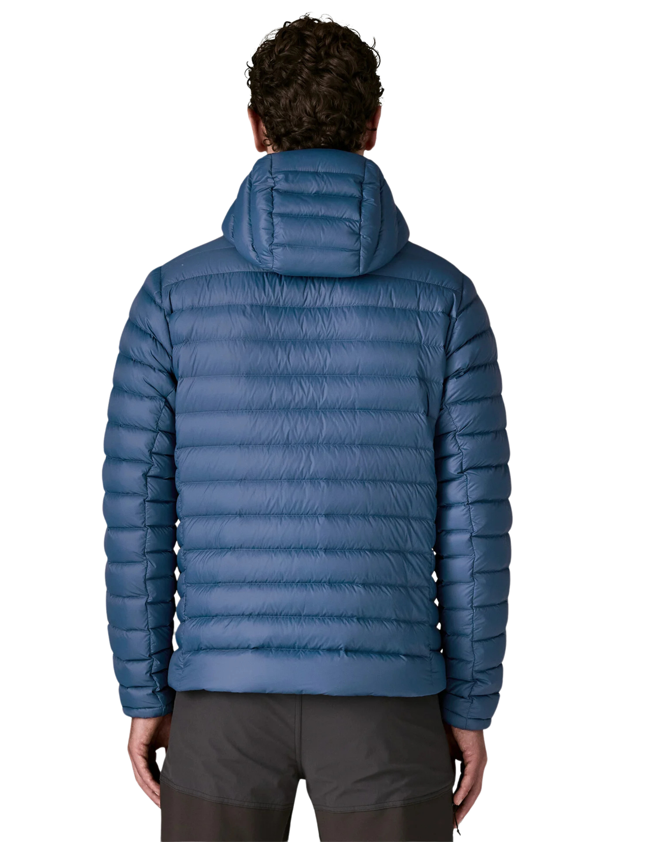 Patagonia Men's Down Sweater Hoodie