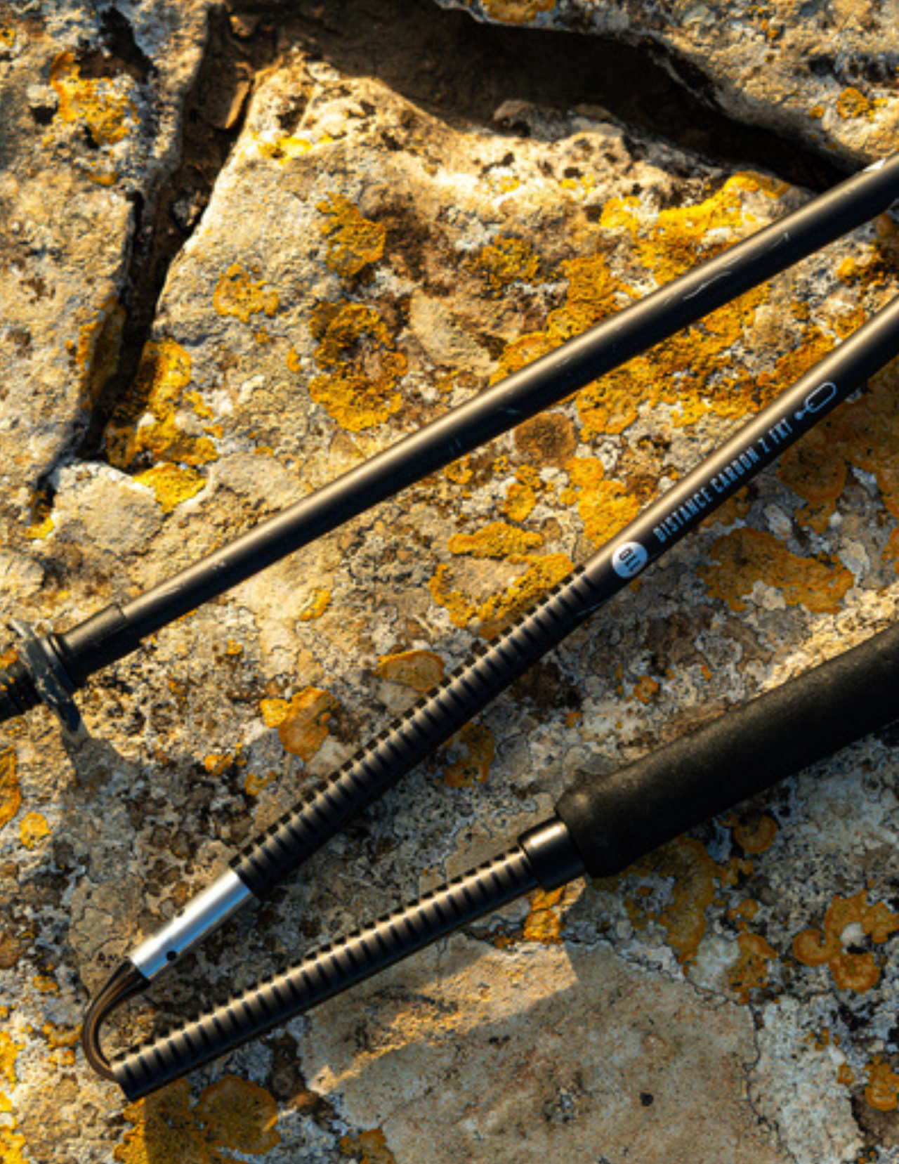 Bâtons de Trail Black Diamond Distance Z FKT Carbon