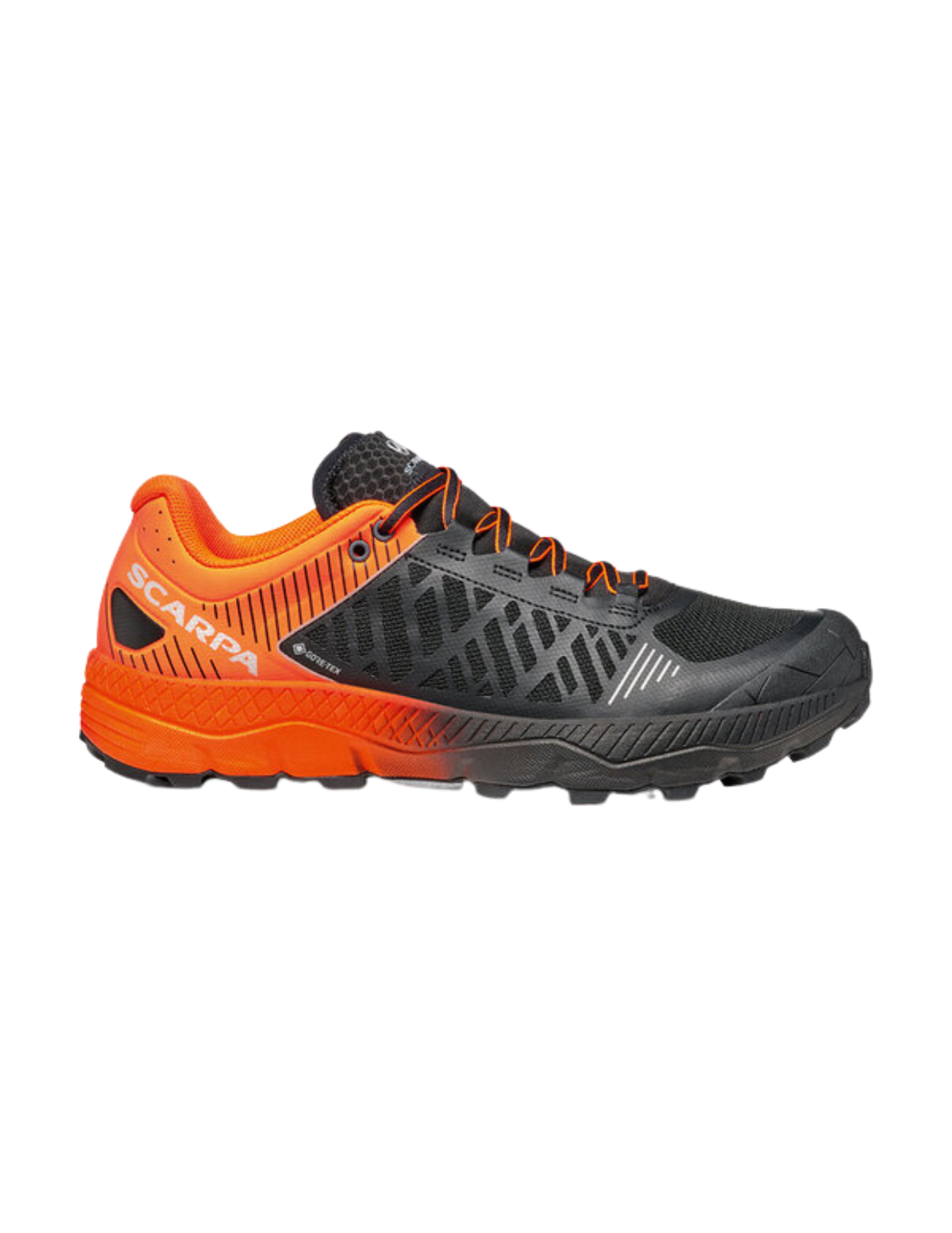 Chaussures de Trail Scarpa Spin Ultra GTX Homme