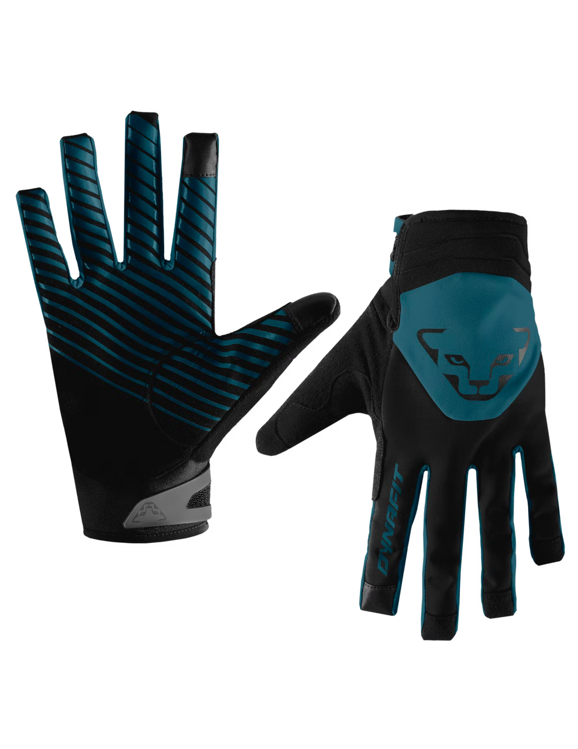 Comment Choisir Des Gants De Ski | Nencini Sport Comment Choisir Des Gants De Ski | Nencini Sport