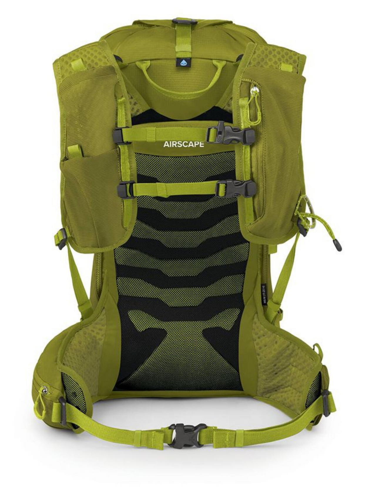 Sac à dos de randonnée Osprey Talon Velocity 20 Litres Homme, couleur verte, vue dorsale