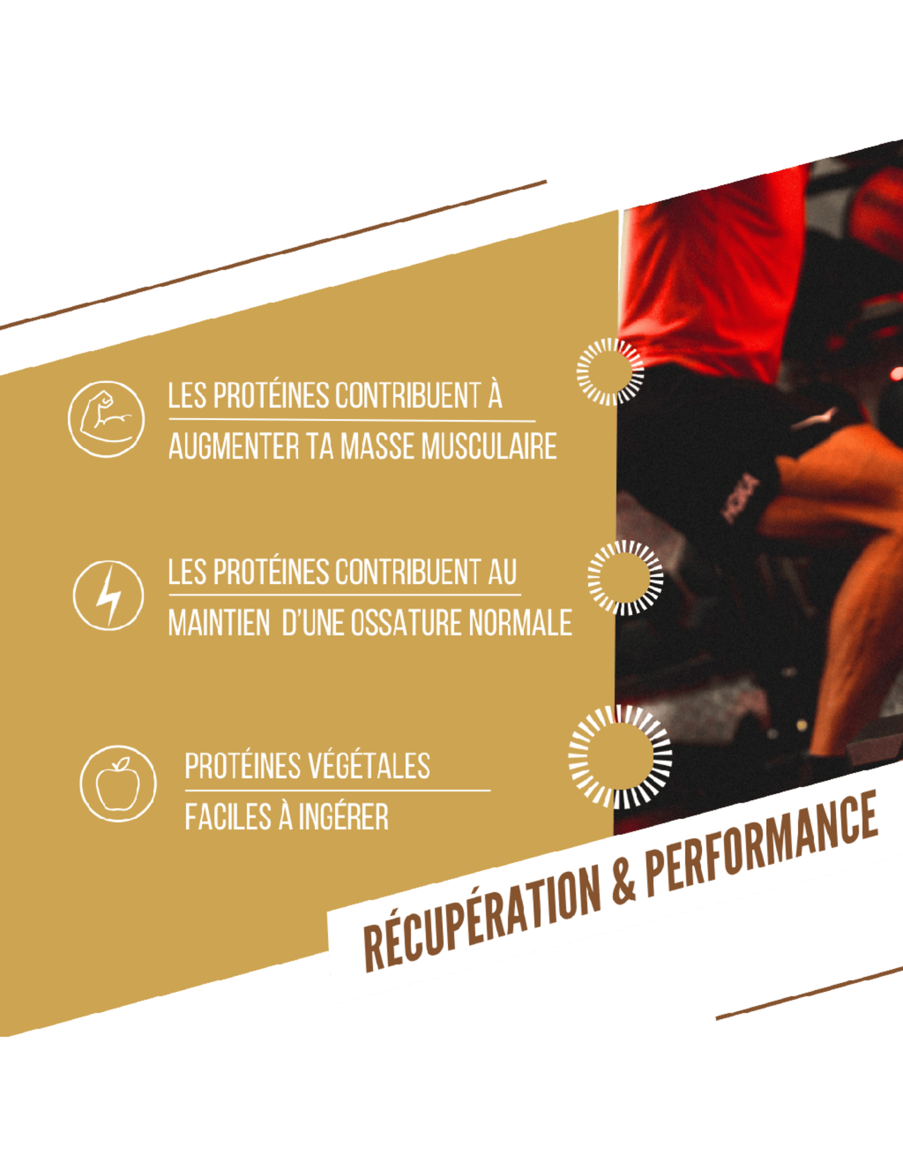 Barre Protéinée Bio Baouw Pomme/Cannelle 50 g