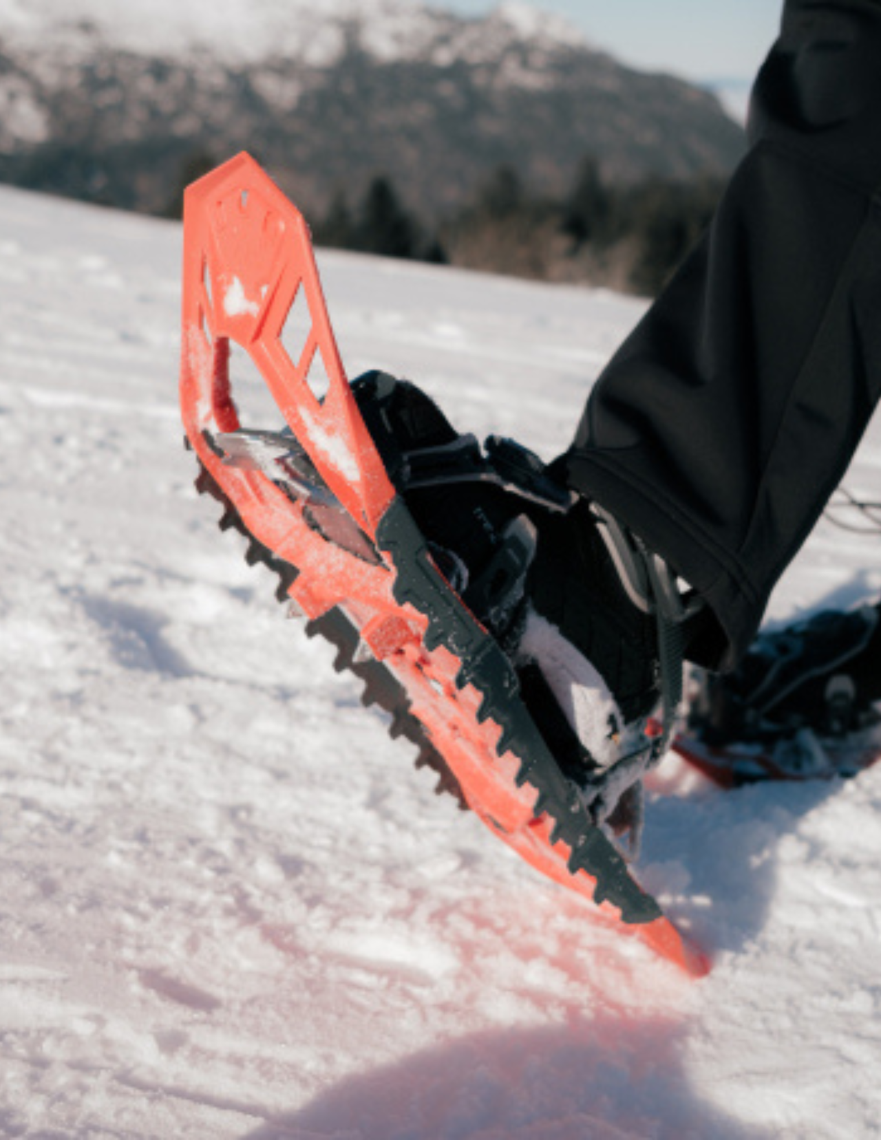 TSL Highlander Original 2 Snowshoes