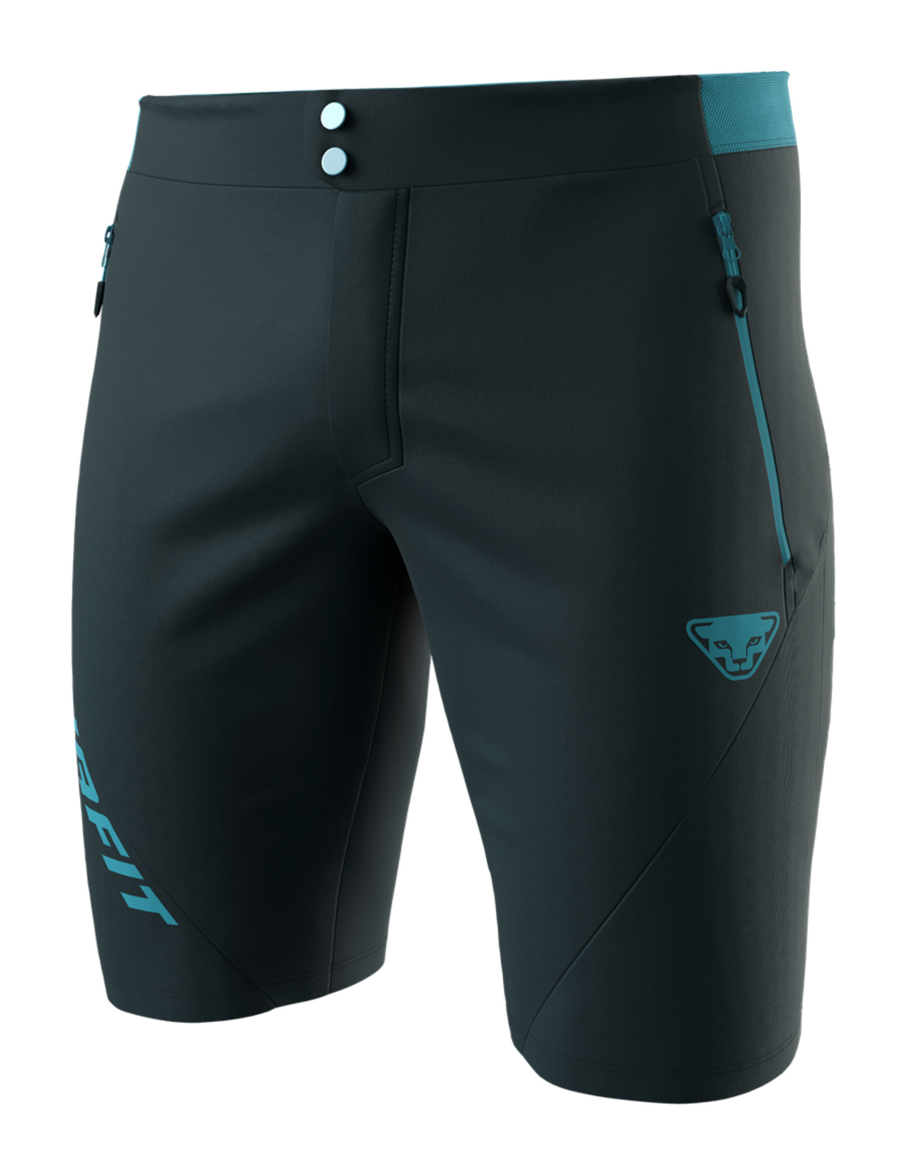 Dynafit Transalper Light Dynastretch Herren-Trail-Shorts