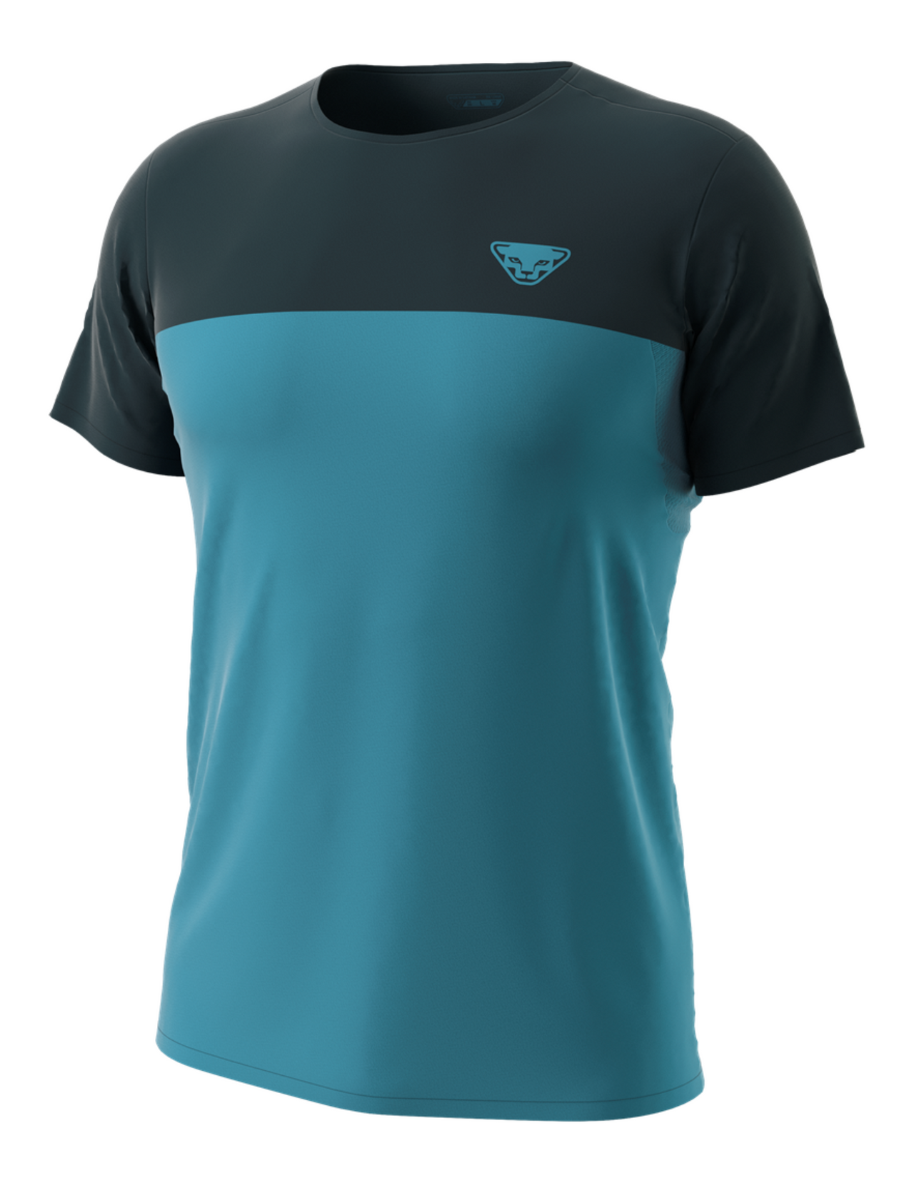T-Shirt de Trail Dynafit Traverse S-Tech Manches Courtes Homme