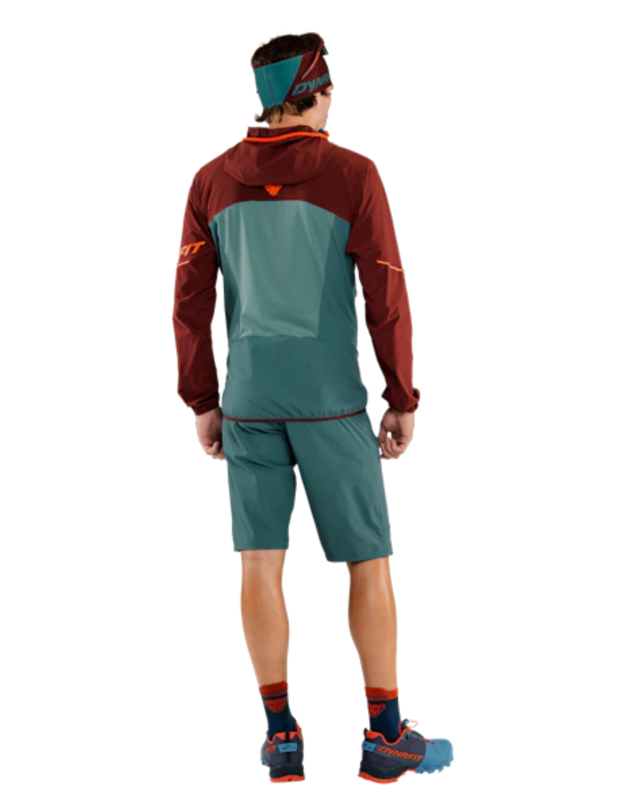 Giacca tortuosa di dynofit Transalper Dynastretch