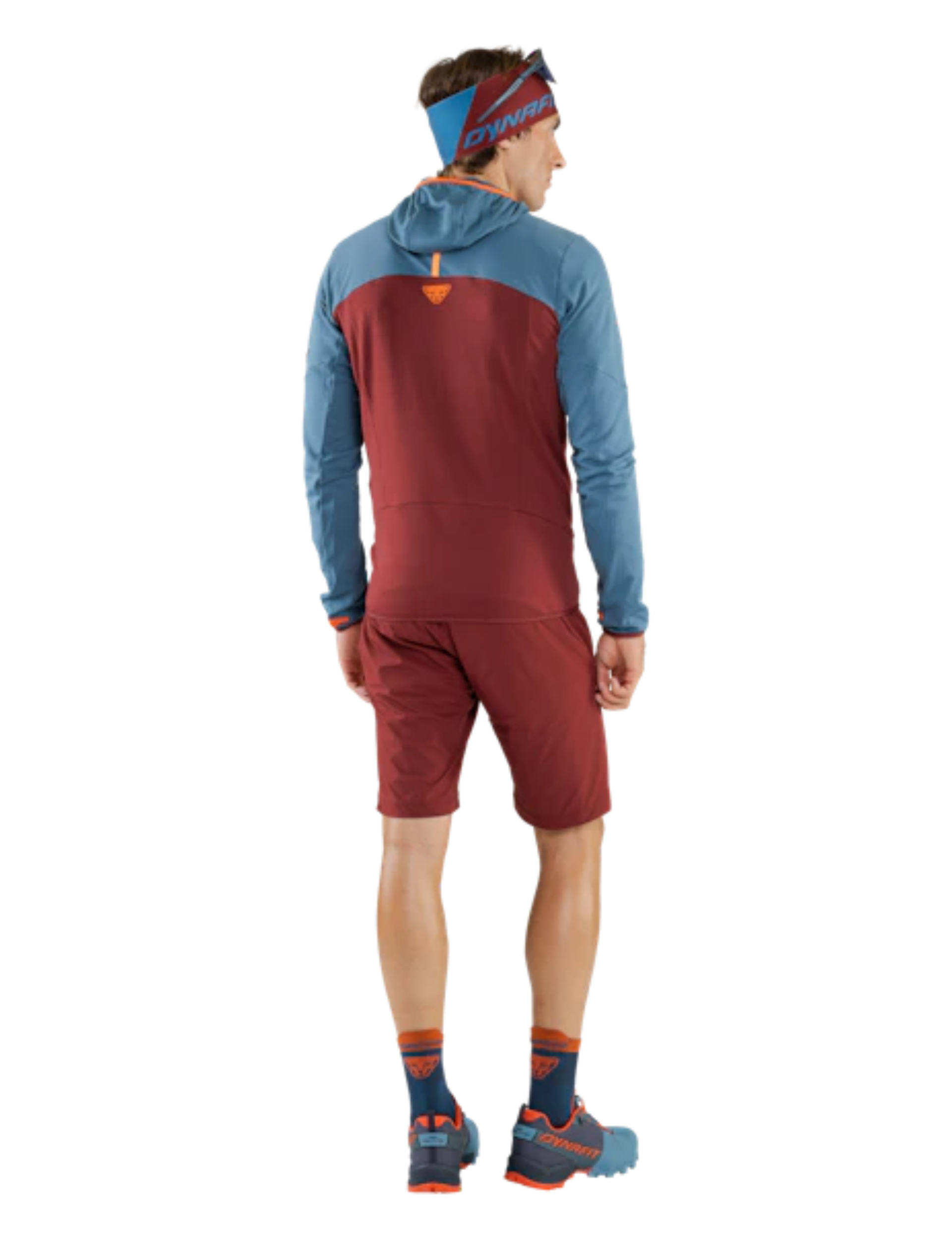 DYNAFIT T-Shirt De Trail Dynafit Traverse 2 Manches Courtes Femme Marine Blue