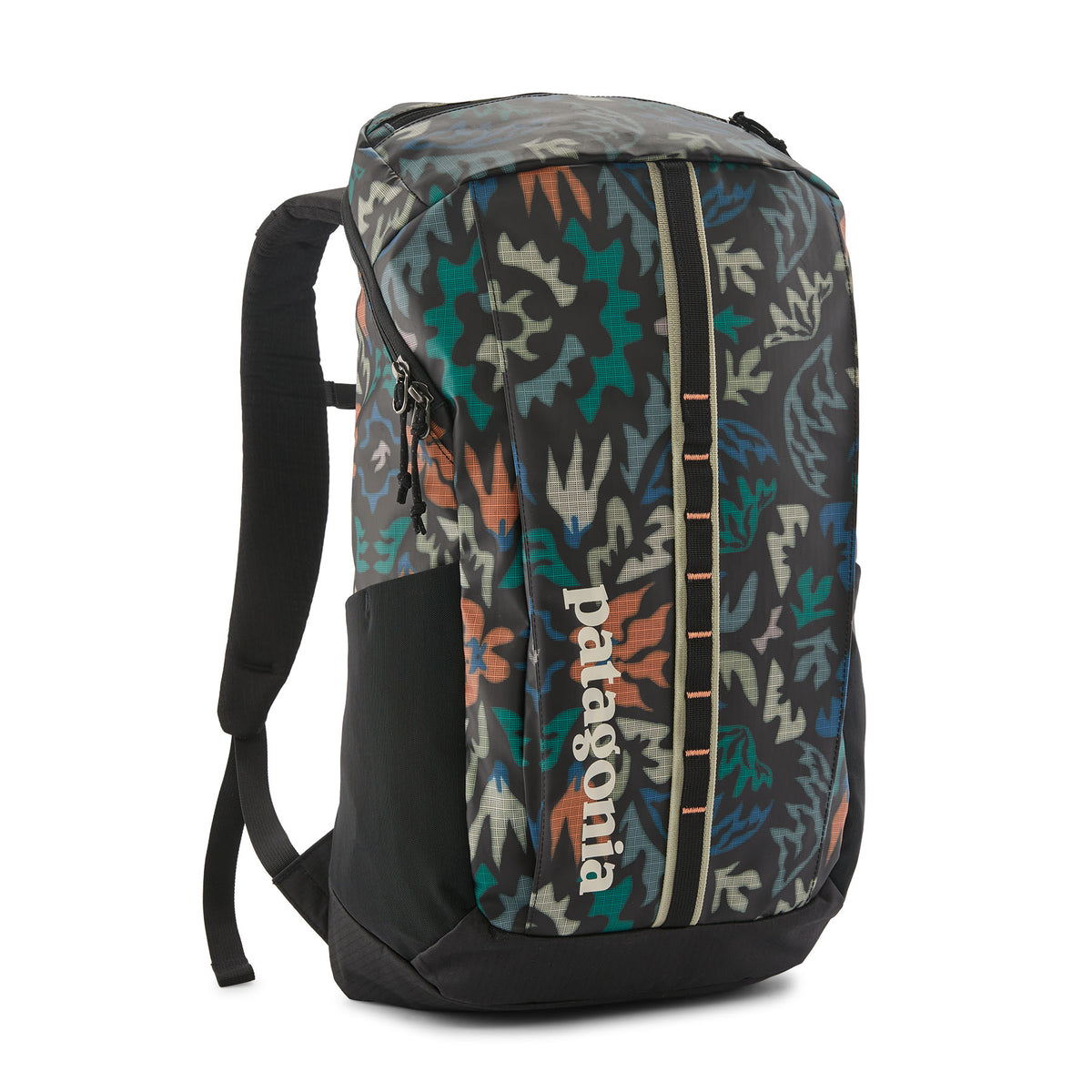 Sac à Dos Patagonia Black Hole Pack 25L