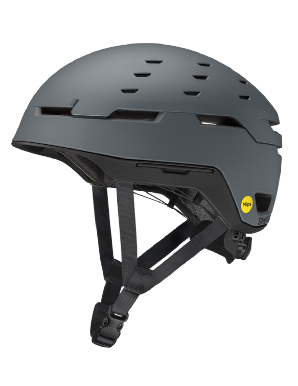 Smith Summit Summit Mips Ski Helmet