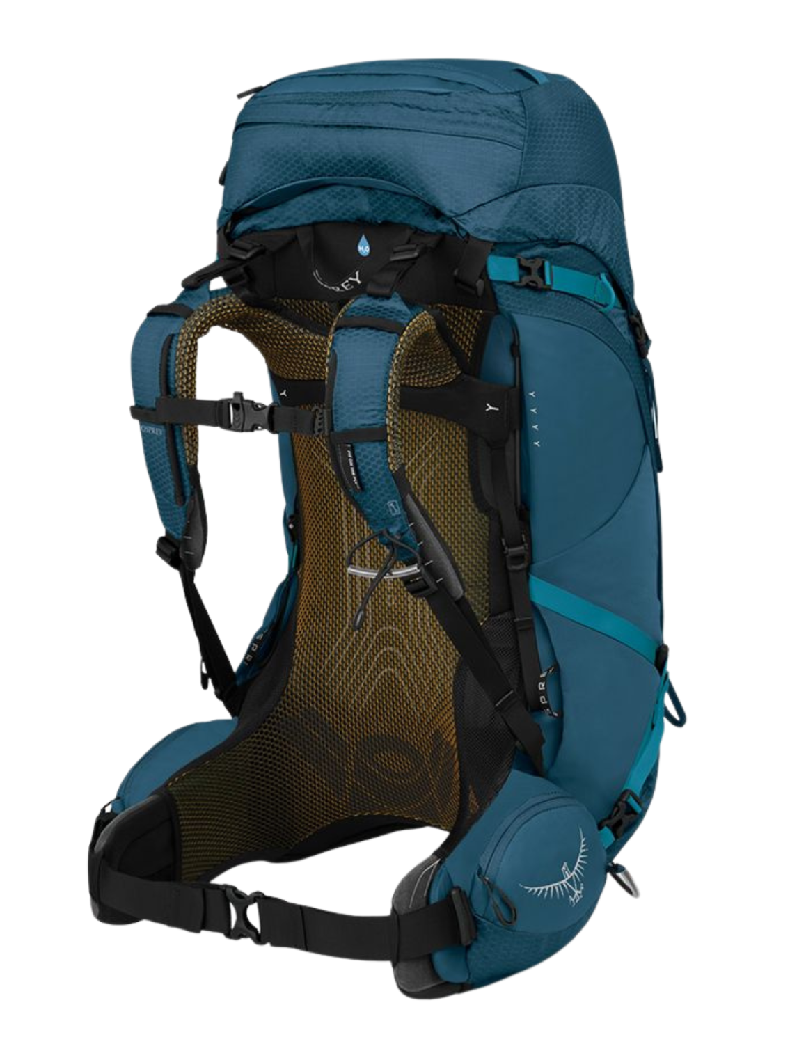 Sac à Dos de Randonnée pour homme Osprey Atmos AG 50, vue 3/4 dos